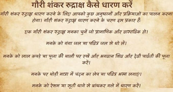 9 Mukhi Gauri Shankar Rudraksha A1 Rated