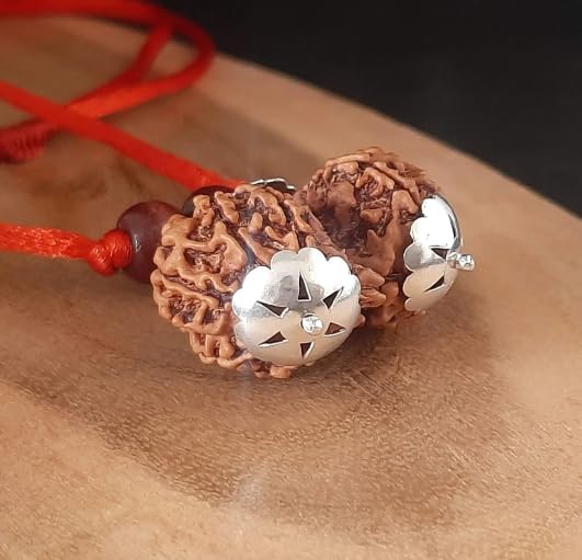 9 Mukhi Gauri Shankar Rudraksha A1 Rated