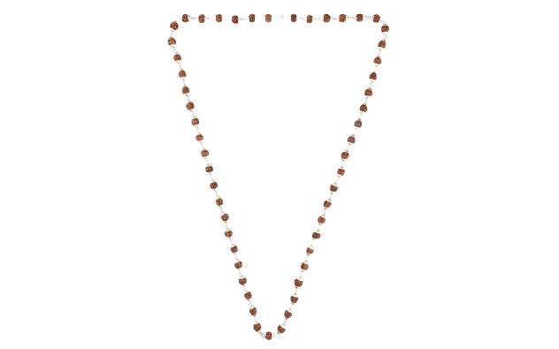 54-Bead Silver Mala with 5 Mukhi Rudraksha