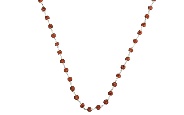 Divine 5 Mukhi Rudraksha Mala in Silver