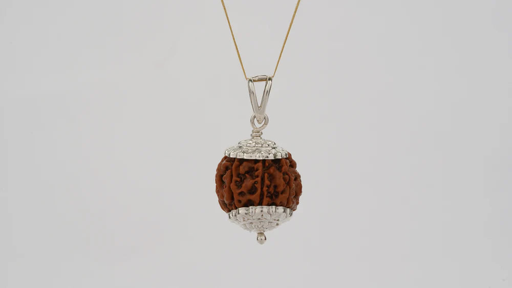 Natural 7 Mukhi Rudraksha (Nepali)