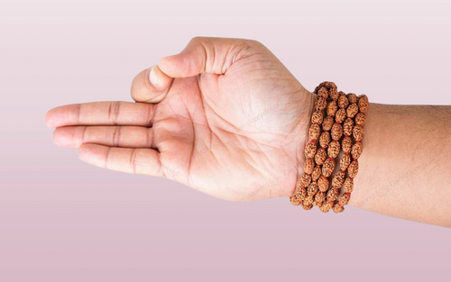 2 Mukhi Japa Rudraksha Mala