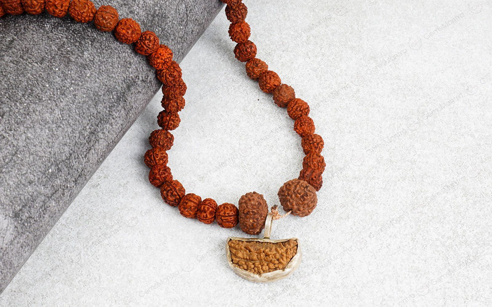 Dhanlaxmi Vriddhi Mala - 1 Mukhi and 9 Mukhi Rudraksha