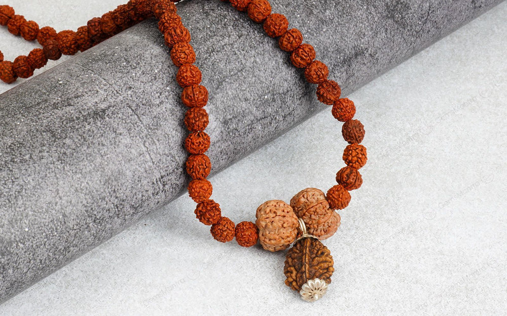 Swasth Vriddhi Mala - 7 Mukhi and 2 Mukhi Rudraksha