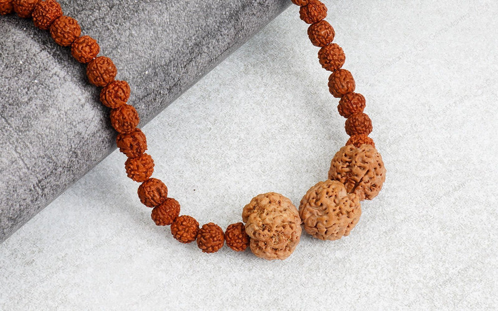 Vidya Vriddhi Mala - 4 Mukhi and 5 Mukhi Rudraksha