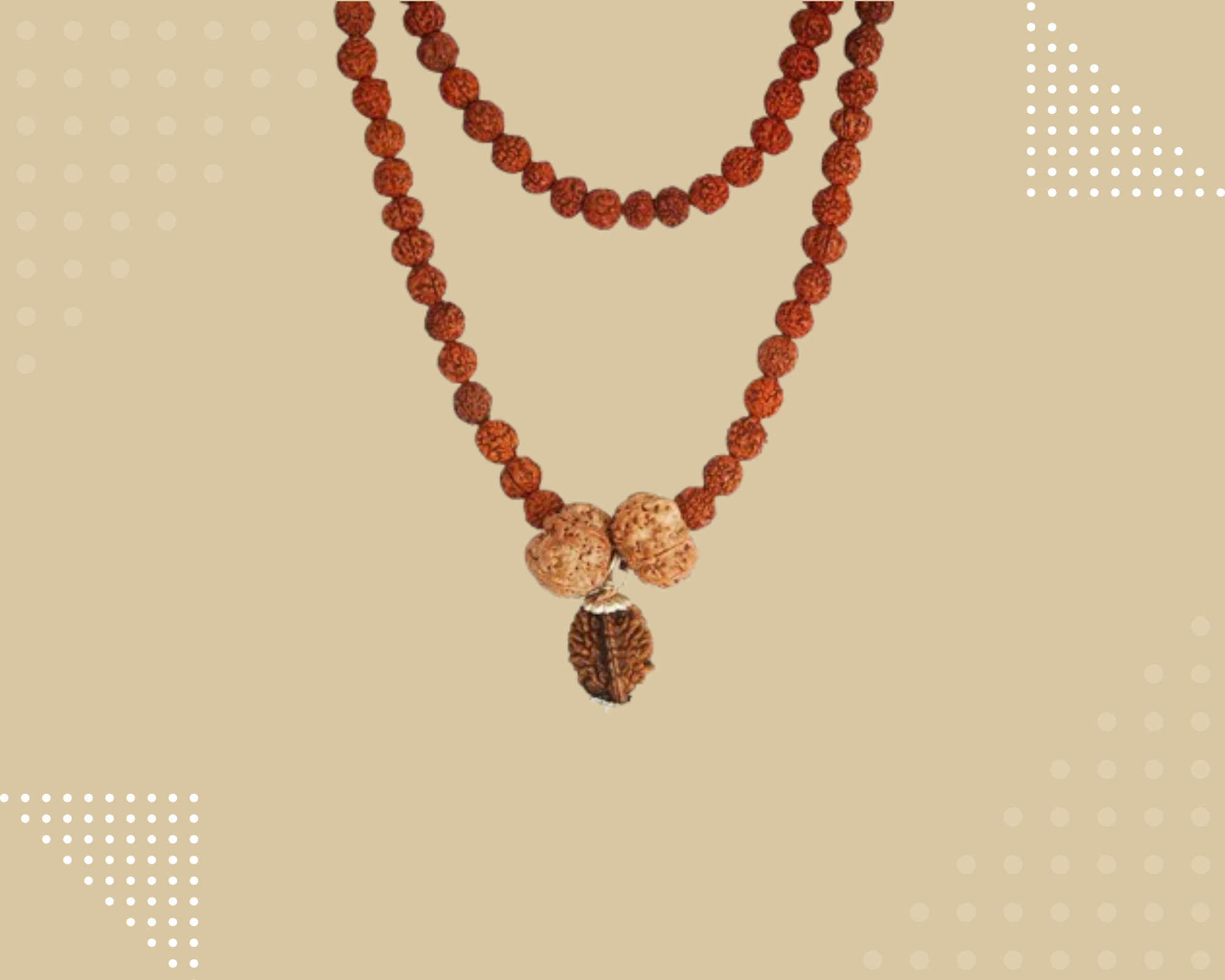 Swasth Vriddhi Mala - 7 Mukhi and 2 Mukhi Rudraksha