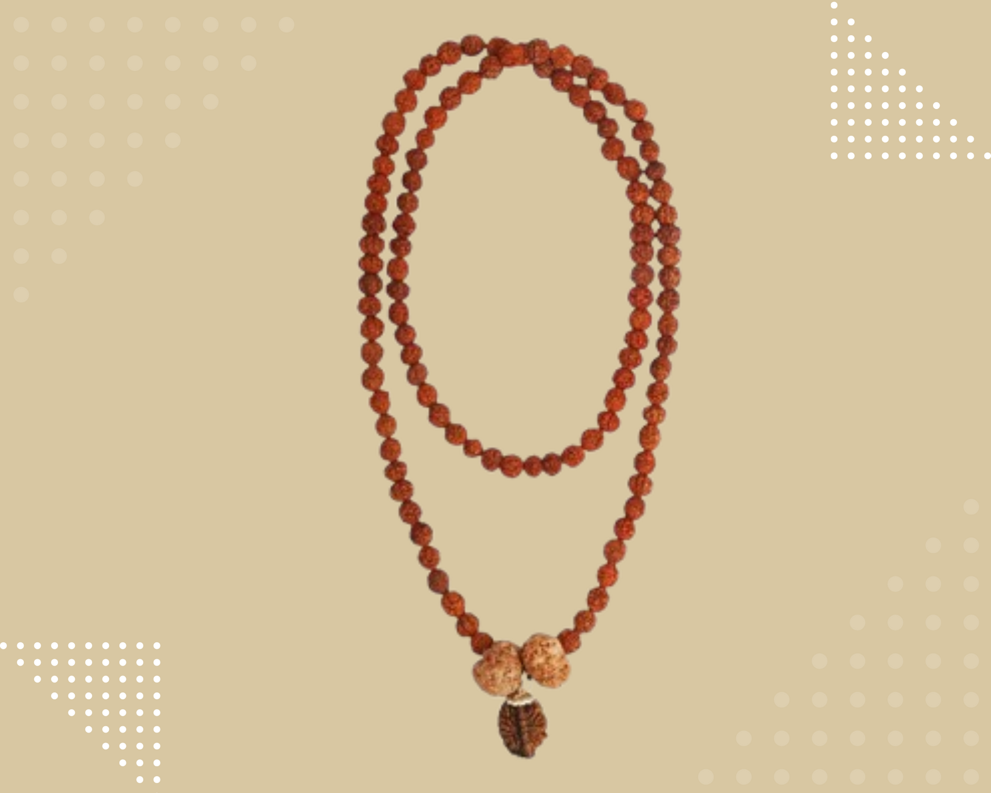 Swasth Vriddhi Mala - 7 Mukhi and 2 Mukhi Rudraksha