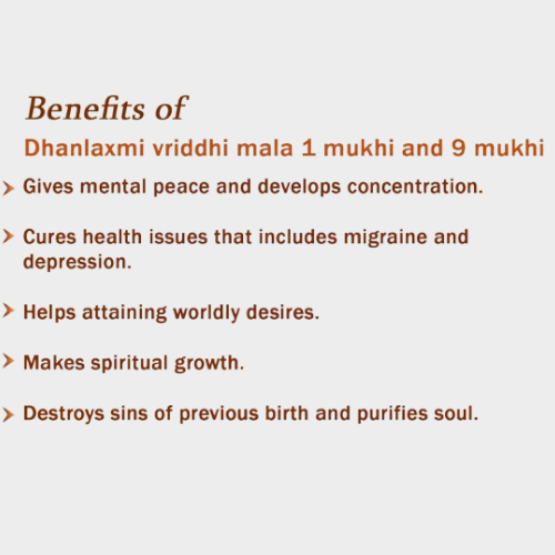 Dhanlaxmi Vriddhi Mala - 1 Mukhi and 9 Mukhi Rudraksha