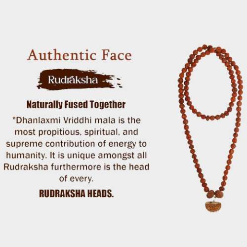 Dhanlaxmi Vriddhi Mala - 1 Mukhi and 9 Mukhi Rudraksha