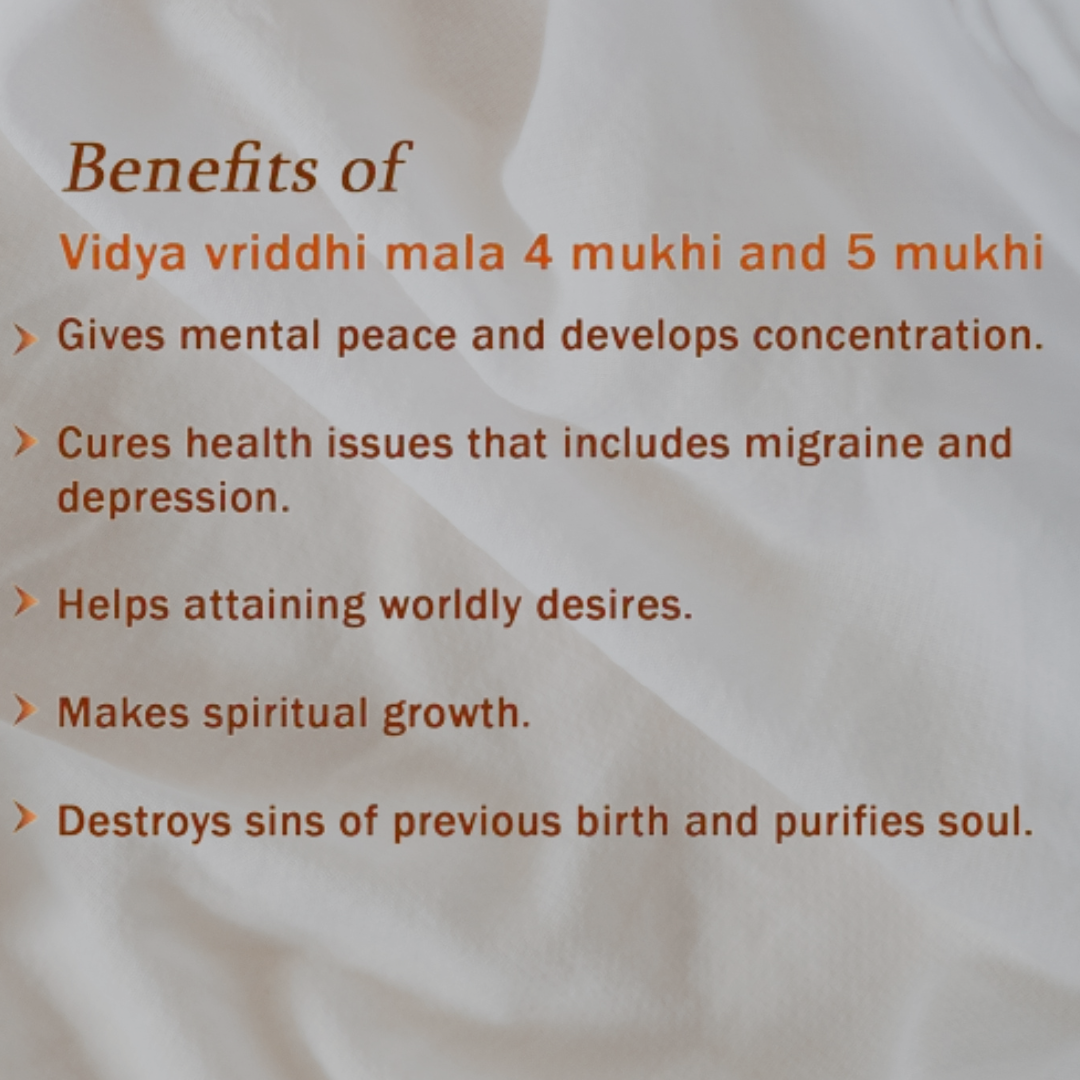 Vidya Vriddhi Mala - 4 Mukhi and 5 Mukhi Rudraksha