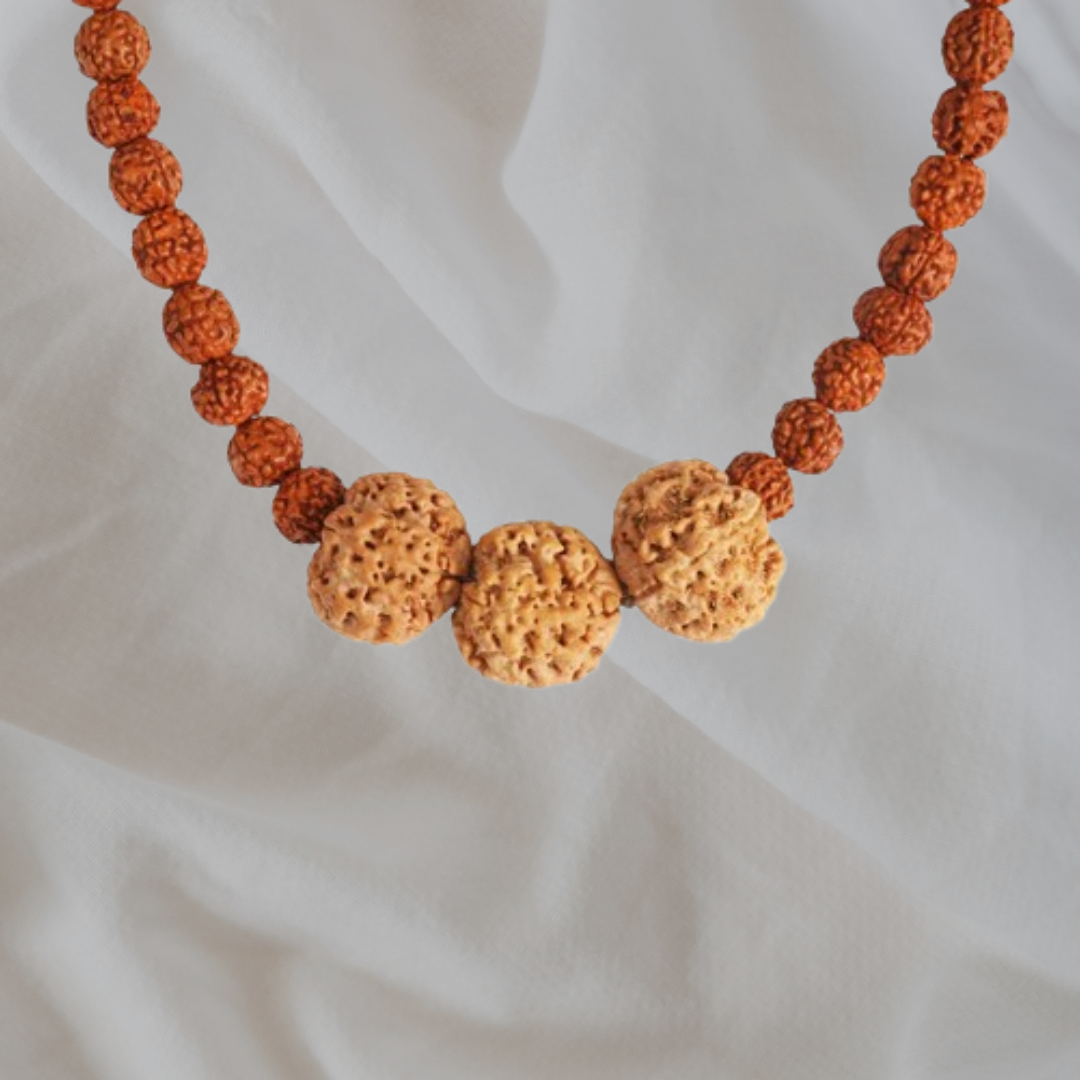 Vidya Vriddhi Mala - 4 Mukhi and 5 Mukhi Rudraksha