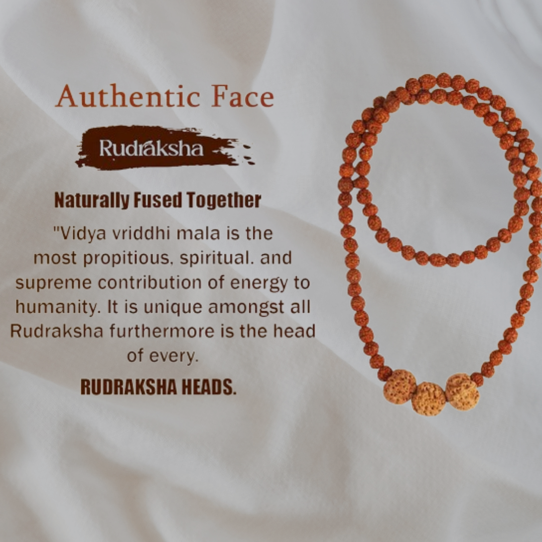 Vidya Vriddhi Mala - 4 Mukhi and 5 Mukhi Rudraksha