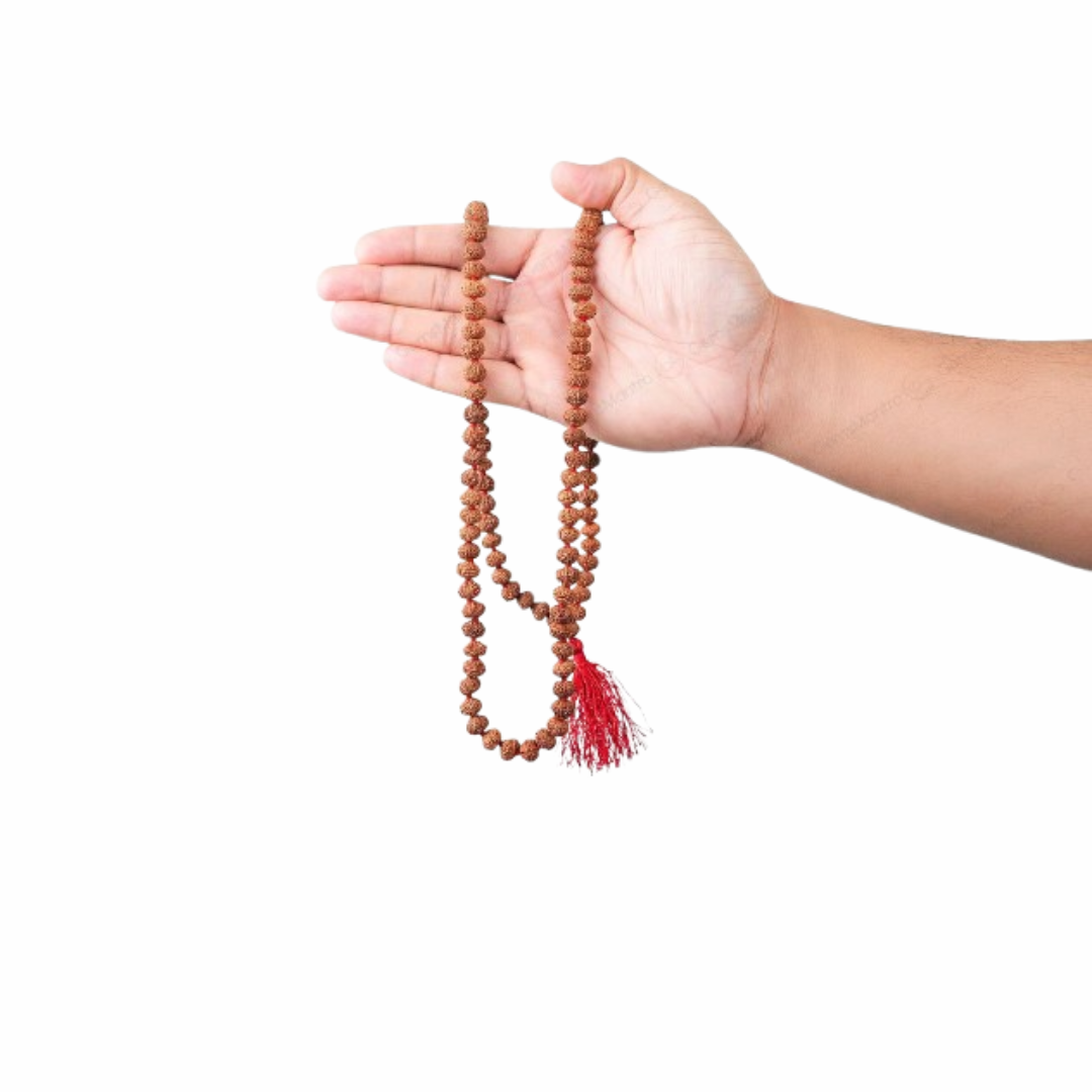 7 Mukhi Japa Rudraksha Mala