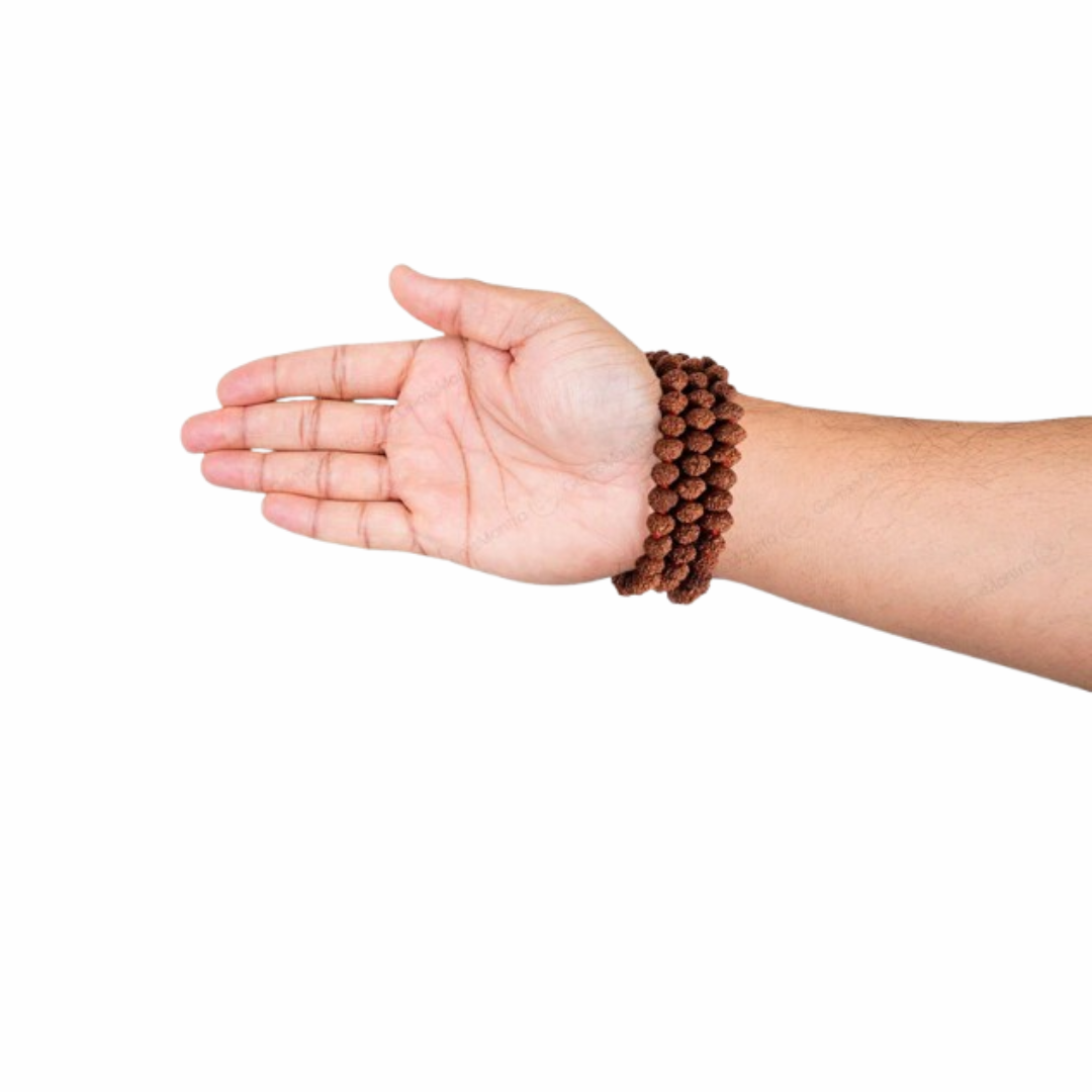 7 Mukhi Japa Rudraksha Mala